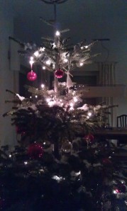 Johann - unser festlich geschmückter Weihnachtsbaum passt gerade so ins Wohnzimmer